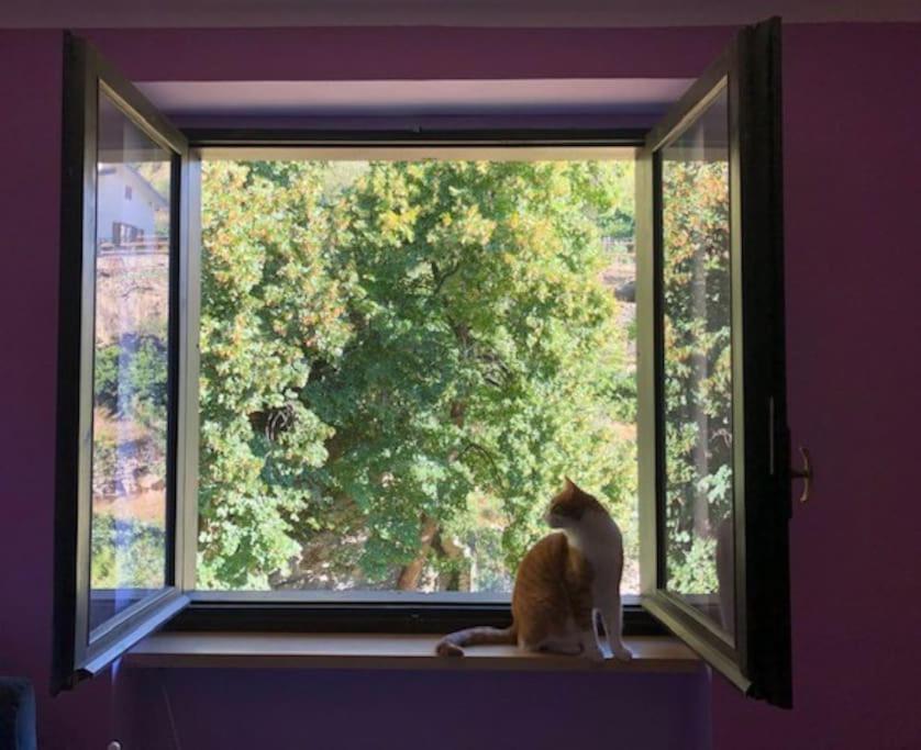Casa Con Vista A Gravere エクステリア 写真
